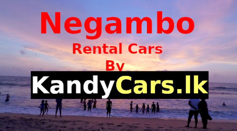 Negambo Sri Lanka